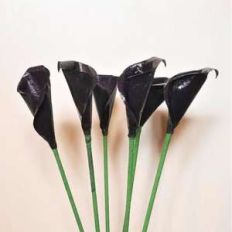 mini calla lily