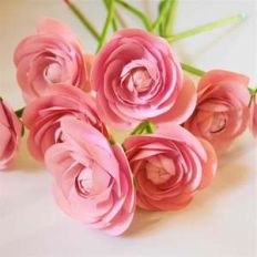 easy ranunculus