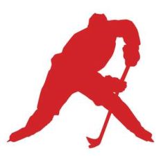 hockey player