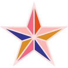 sectioned star