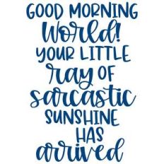 little ray of sarcastic sunshine