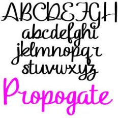 pn propogate
