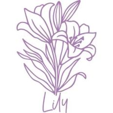 lily