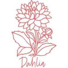dahlia