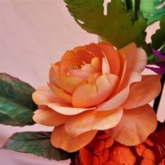 queen of sweden rose