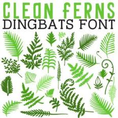 cg clean ferns dingbats