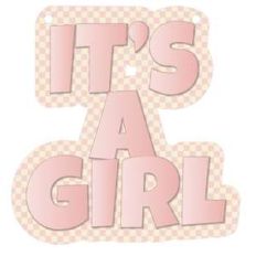 it's a girl banner piece - pink gingham