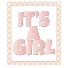 it's a girl banner piece - pink gingham frame