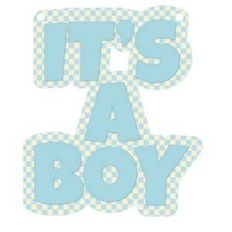 it's a boy banner piece - blue gingham