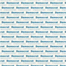 vote democrat pattern