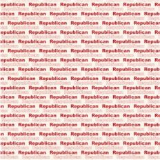 vote republican pattern
