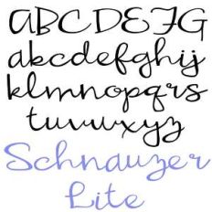 zp schnauzer lite