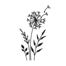 dandelion flowers