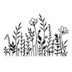 wildflower meadow
