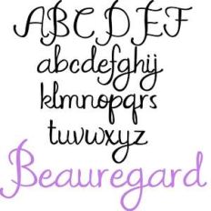 zp beauregard