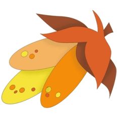 indian corn