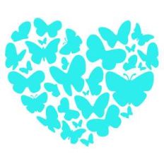 butterfly heart