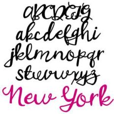 zp new york