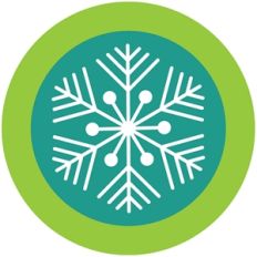 snowflake tag