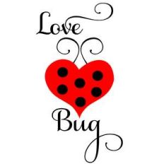 love bug