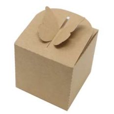 butterfly pop up box