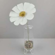 wildflower