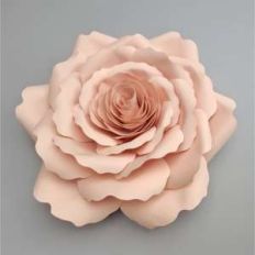 ellis rose