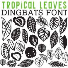 cg tropical leaves dingbats