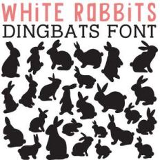cg white rabbits dingbats