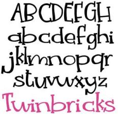 zp twinbricks