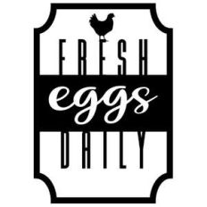 fresh eggs daily