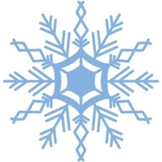 fancy snowflake