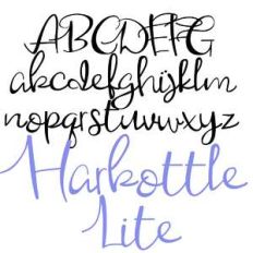 pn harbottle lite