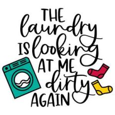 the laundry is looking at me dirty again