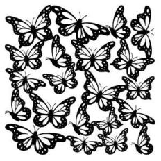 butterfly square