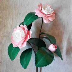 camellia