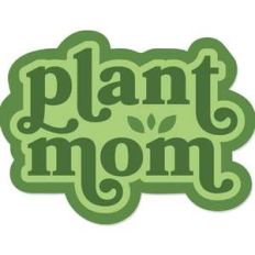 plant mom