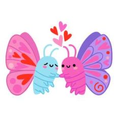 butterflies in love