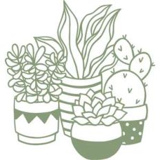 plants
