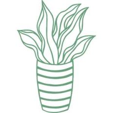 houseplant