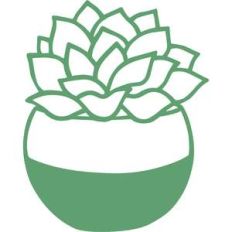 succulent