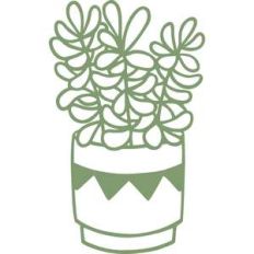 houseplant