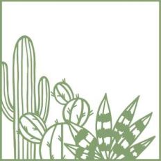 cactus square frame