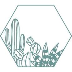 cactus hexagon frame
