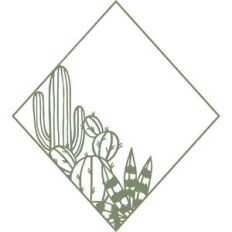 cactus diamond frame