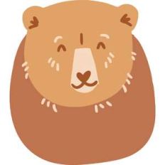 bear face