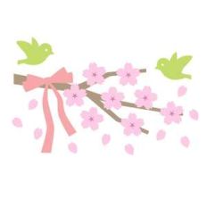 cherry blossoms