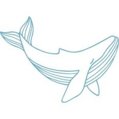 whale