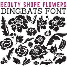 cg beauty shape flowers dingbats