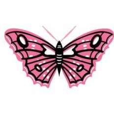 intricate pink butterfly art